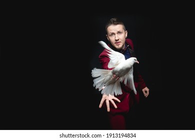 Magician Man Shows Trick With Trained White Dove Bird.