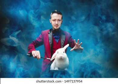 Magician shows trick with disappearance white rabbit in suitcase magic wand, black background.