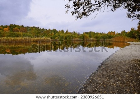 Magiczna jesień w pochmurny dzień. Small pond in the autumn park Zdjęcia stock © 