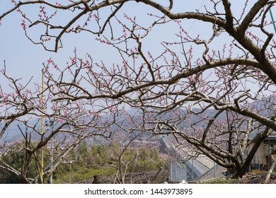 Maglev Railway In Yamanashi Japan