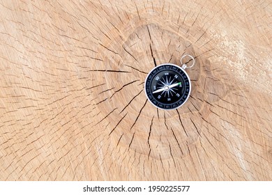 Magnetic Compass On Cut Wood Tree Section With Cracks And Annual Rings.