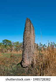 Magnetic Termine Mounds Made By Termites, Amitermes Meridionalis; In The Northern Territory Top End.