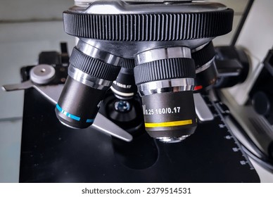 magnification of the microscope objective lens