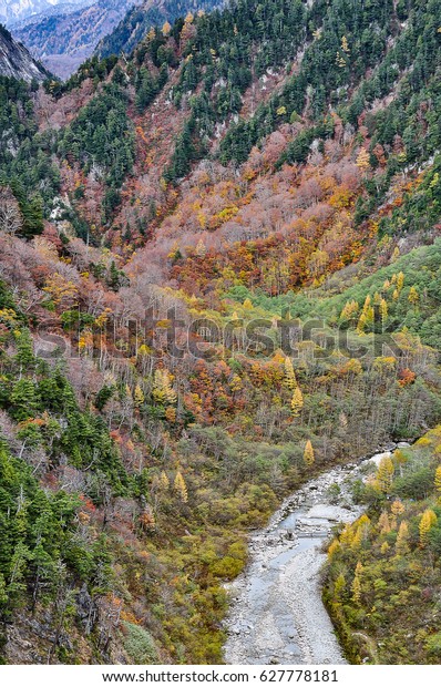 Magnificent autumn scenery of colorful foliage on\
rugged mountain cliffs from Kurobe Dam in Tateyama Kurobe Alpine\
Route, Toyama Japan