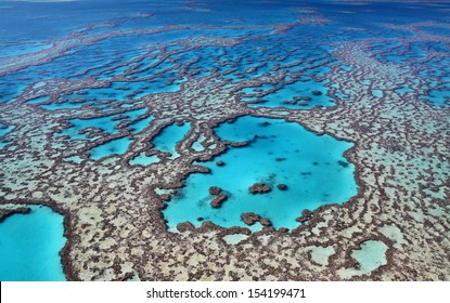 Magnificent colours in the Great Barrier Reef - Shutterstock ID 154199471