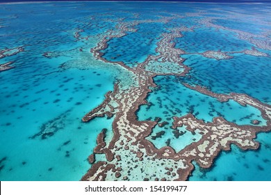 Magnificent colours in the Great Barrier Reef - Shutterstock ID 154199477