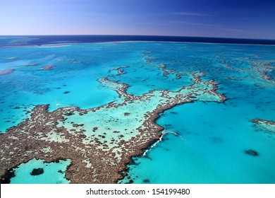 Magnificent colours in the Great Barrier Reef - Shutterstock ID 154199480