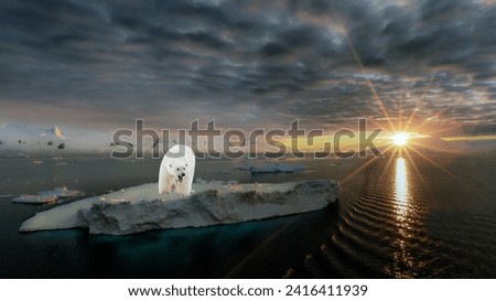 Magnificent evening seascape with a polar bear standing on a floating ice floe