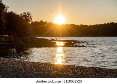 Magnificent, golden sunset over town of Rovinj, Croatia and the gravel beach hidden by dense, green forest