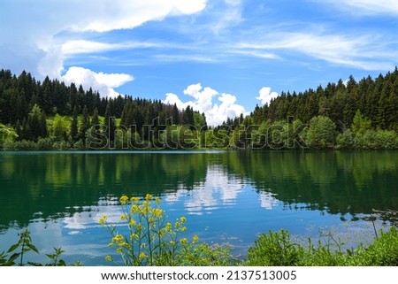 magnificent lake view in the forest.ARTVİN.TURKEY Foto d'archivio © 