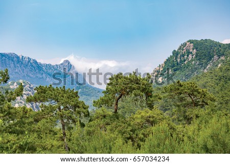 The magnificent Mediterranean region and the Taurus Mountains with foggy green forests. Plenty of oxygen centre. Antalya -Turkey.