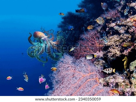 A magnificent octopus masterfully disguises itself as a variety of colors of a coral reef against the background of its inhabitants and colorful fish