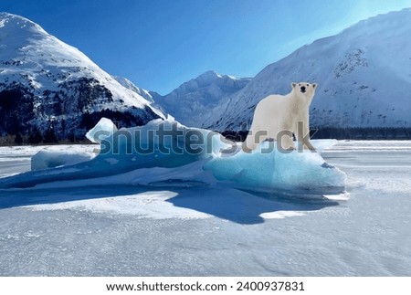 A magnificent polar bear stands proudly on top of a melting ice floe in the midst of a mountainous landscape