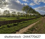 Magnificent radiation of the Sun which shines strongly on the lawn of a departmental park, with countryside and field environment, beauty of greenery, photographic effect in brightness, well-being