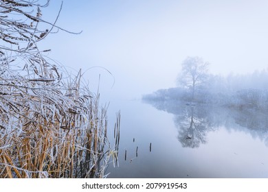 Magnificent scene of a morning foggy lake with rime-covered trees, reeds, and bushes on a banks. - Shutterstock ID 2079919543