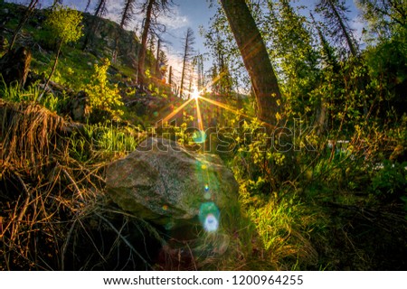 Similar – Image, Stock Photo In the Adersbach-Weckelsdorf Rock Town