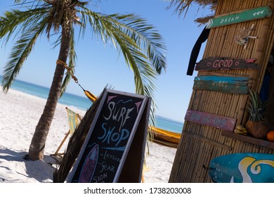 Magnificent view of a beach with a palm tree and a surf shop with hammock hanging between them - Powered by Shutterstock