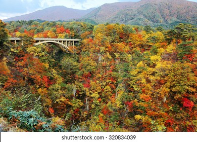 Magnificent view of a highway bridge (大深沢橋) spanning Naruko Gorge (鳴子峡) with beautiful autumn colors on the vertical rocky cliffs, in Osaki, Miyagi, Northeastern Japan
