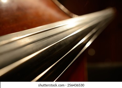 The magnificent violin.