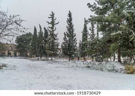 Magnificent winter forest, the road is covered by snow. Winter landscape. White snow covers the ground and trees. Majestic atmosphere. Snow nature. Outdoor shot

