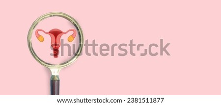 Magnifier glass focus care checkup uterus organs, reproductive system, HPV, papillomavirus, HPV vaccine, health and medical, cervical cancer, stomach ache, insurance, hospital, Woman healthcare