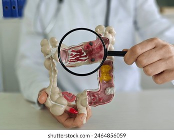 Magnifying glass and colon diseases and colorectal cancer and ulcerative colitis. Irritable bowel syndrome and digestive system - Powered by Shutterstock