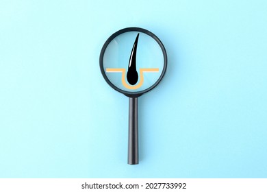 Magnifying Glass With Hair And Pores Illustration