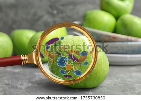 Magnifying glass and illustration of microbes on apple. Food poisoning concept  