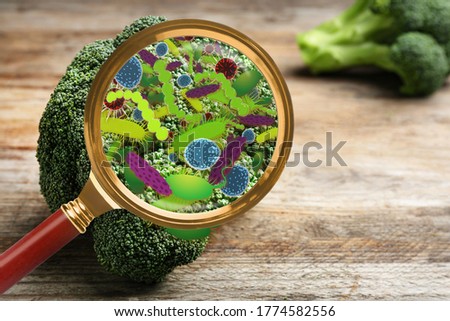 Magnifying glass and illustration of microbes on broccoli. Food poisoning concept  