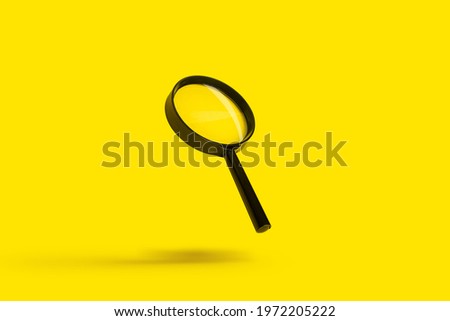 magnifying glass loupe magnifier search flies soars over yellow background.