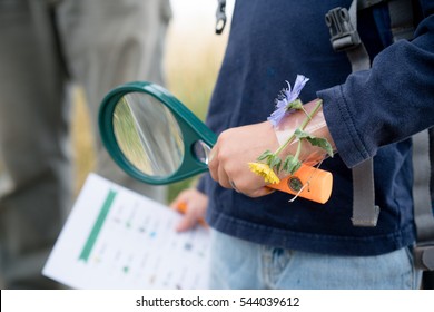 Magnifying glass and scavenger hunt in child's hands - Shutterstock ID 544039612