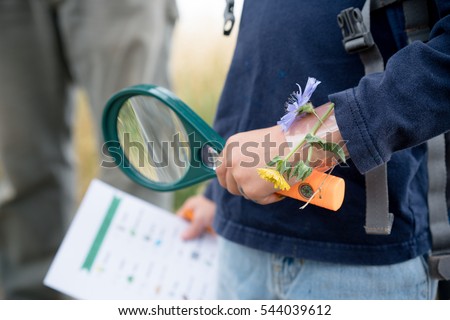 Magnifying glass and scavenger hunt in child's hands