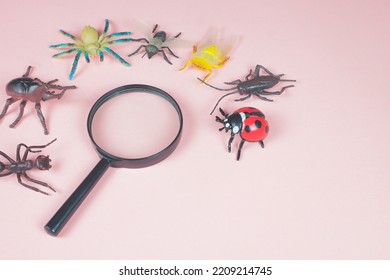 Magnifying Glass Surrounded By Insect Toys. Ladybug, Grasshopper, Fly, Spider And Bug On The Pink Background Ready To Be Examining With Magnifier By The Child. Children Curiosity Concept. 