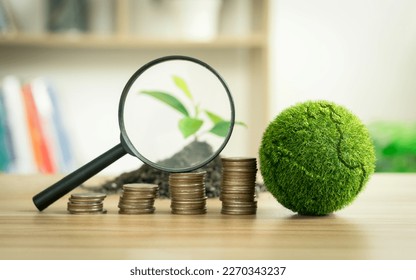 A magnifying glass that shines on a sapling with a coin and a globe.  In business concepts that focus on the environment and long-term sustainability goals, etc. - Shutterstock ID 2270343237