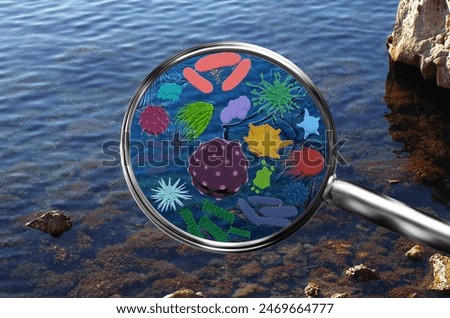 Magnifying lens with simulated plankton, germs, viruses, bacteria. Coast with water, stones, algae. The sea or a large lake.