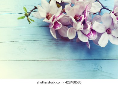 Magnolia Branch On Old Wooden Background.