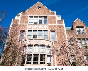 Magnolia Trees Blossoming At University Campus - Seattle, WA, USA