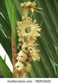 Mah Wood Carving Resembles Mitos Their Stock Photo 780926278 | Shutterstock