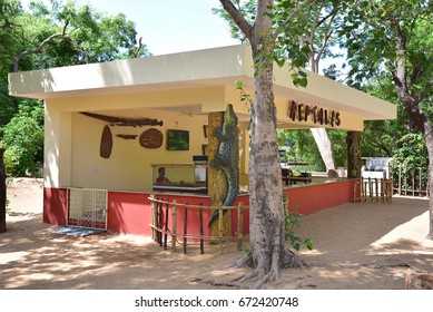 MAHABALIPURAM, CHENNAI, TAMILNADU, INDIA, JULY 04, 2017: The Madras Crocodile Bank Trust And Centre For Herpetology, A Reptile Zoo And Research Station