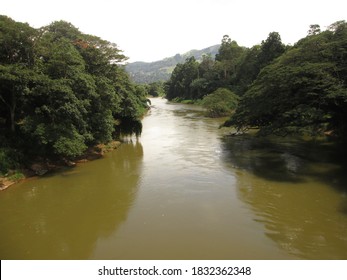 220 Mahaweli river Images, Stock Photos & Vectors | Shutterstock