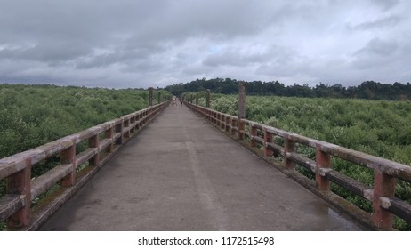 Maheskhali Island Bridge At Cox's Bazaar, Bangladesh