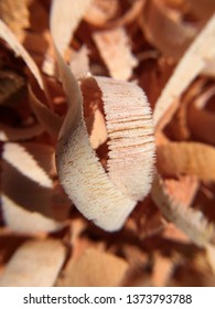 Mahogany Woodturning Chips Background