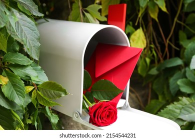 Mail box with envelope and rose flower outdoors, closeup