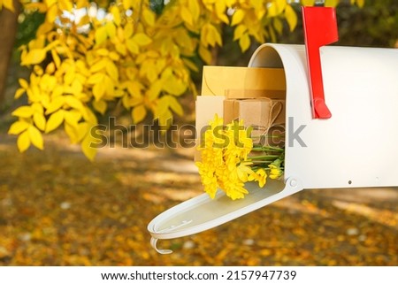 Mailbox with beautiful flowers, gift and envelopes in autumn park