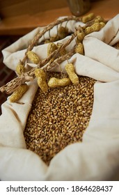 The Main Building Blocks And Essential Fundamental Ingredients Of Beer. Flakes Grains Barley. Home Brew. Craft Beer. Hop Pellets, Yeast.