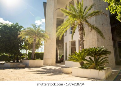 Main entrance to modern office building in a southern city with growing palm trees and tropical flower beds - Powered by Shutterstock