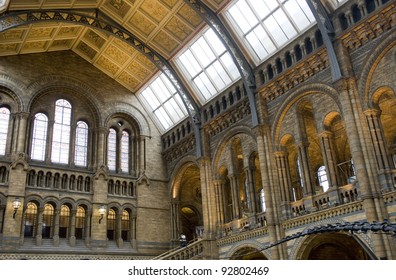 The Main Hall In The Natural History Museum, London.