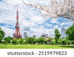 main hall of zojoji and tokyo tower located at Tokyo city in japan