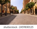 main pedestrian street of a typical Sicilian village in the early afternoon sun; no people, a small dog 