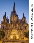 The main portal Barcelona Cathedral with no people at dawn